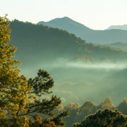 Smoky Sunrise